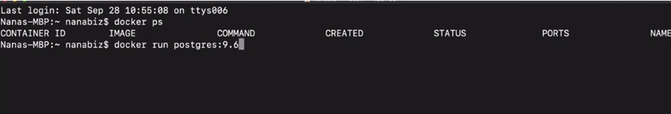 Simple "docker run" command