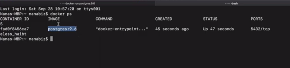 "docker ps" command