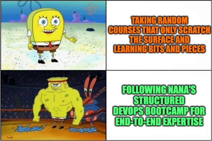 Courses vs Nana's DevOps Bootcamp