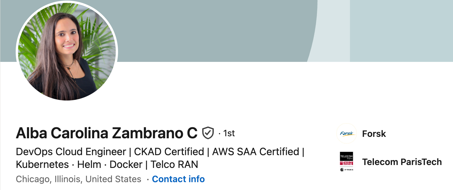 Alba LinkedIn Profile TWN DevOps Bootcamp Review