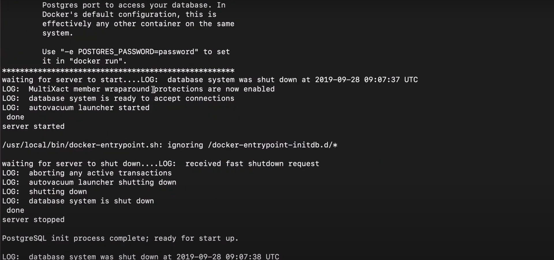 Postgres application started within the container